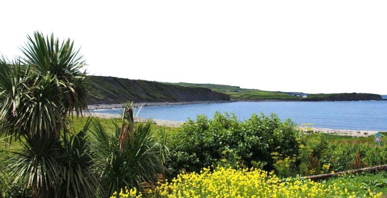 Wild Atlantic Lodge Bed & Breakfast Lahinch Kültér fotó
